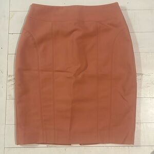NWOT Express Pencil Skirt